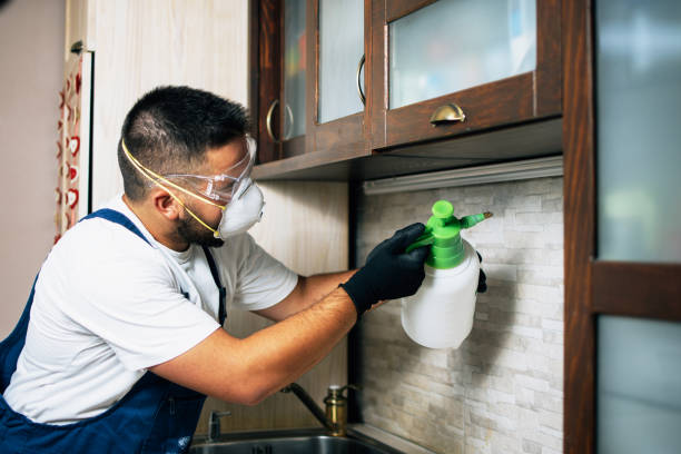 Best Residential Pest Control  in Marshall, MO