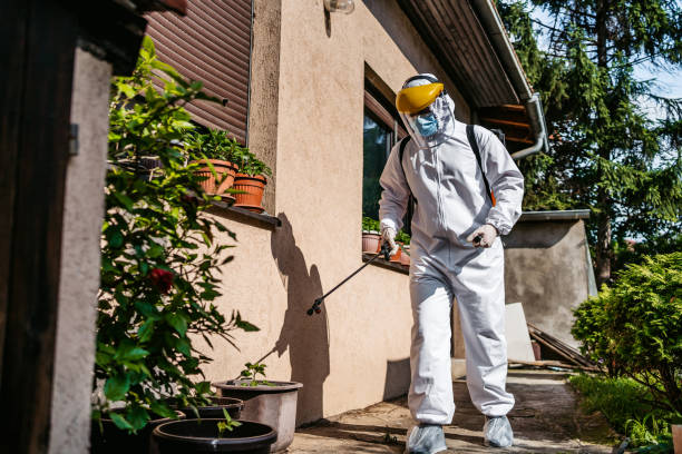 Best Wasp Removal Services  in Marshall, MO
