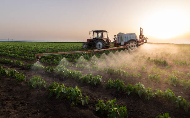 Professional Pest Control in Marshall, MO