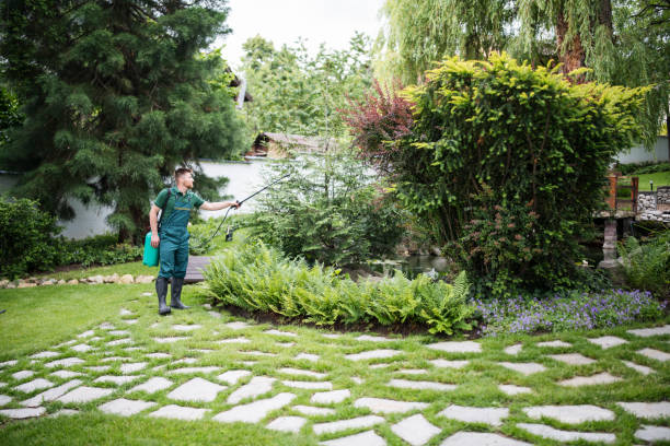 Best Best Pest Control Companies  in Marshall, MO