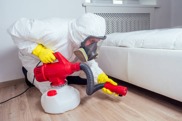Best Rat Extermination Near Me  in Marshall, MO