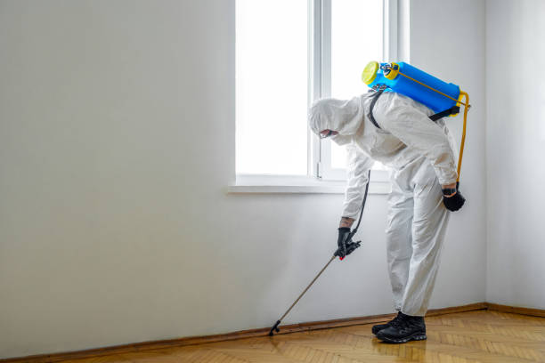 Pest Prevention Services in Marshall, MO