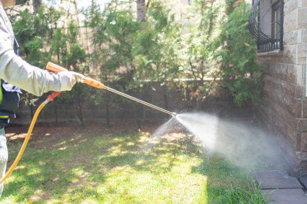 Flea Control Services in Marshall, MO
