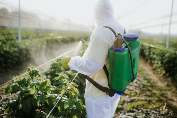 Best Flea Control Services  in Marshall, MO